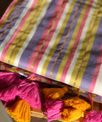Rang Bhoomi Mul Cotton Saree
